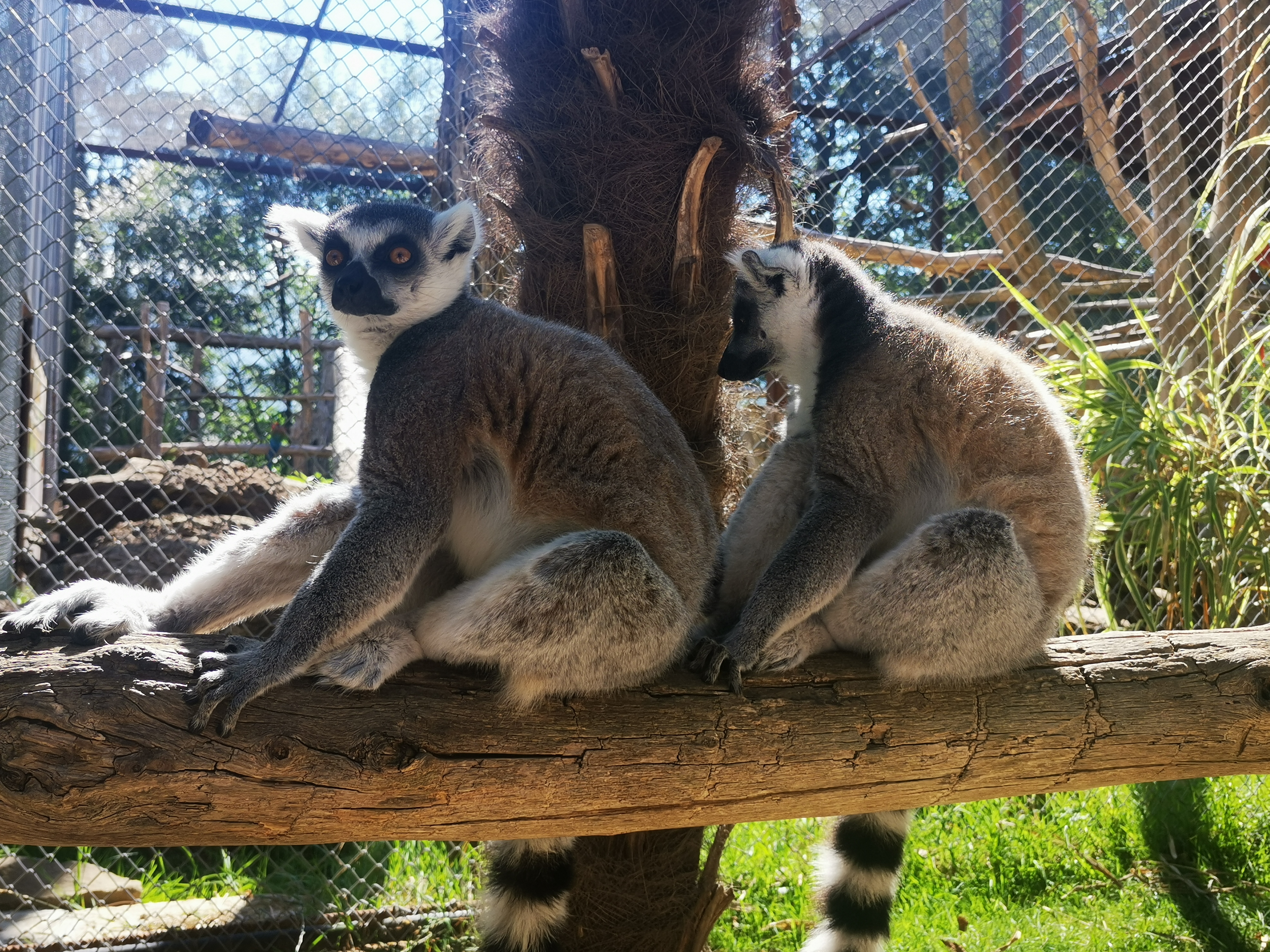 Photo n° 2 de l'avis de Aude.i fait le 29/08/2023 à 21:35