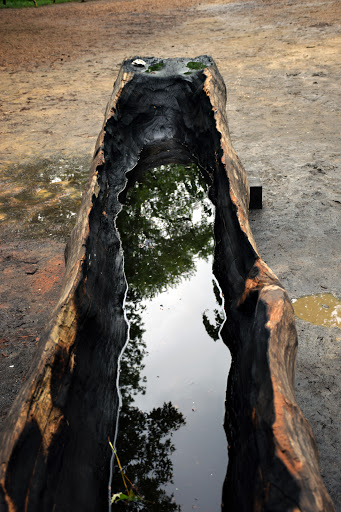 History Museum «Jamestown Settlement», reviews and photos, 2110 Jamestown Rd, Williamsburg, VA 23185, USA