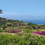 Photo n°9 de l'avis de Rosa.a fait le 01/07/2018 à 13:00 sur le  Pantelleria Dream Resort à Pantelleria