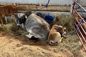 Cowlitz County Fair image