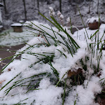 Photo n°5 de l'avis de Julia. fait le 10/12/2022 à 16:41 sur le  Hoffnungsschacht à Klipphausen