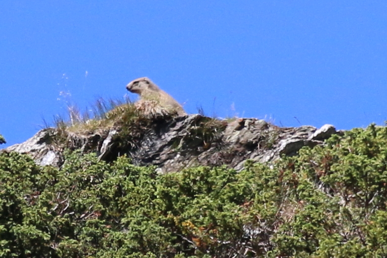 Photo n° 2 de l'avis de SOPHIE.B fait le 01/08/2019 à 17:48
