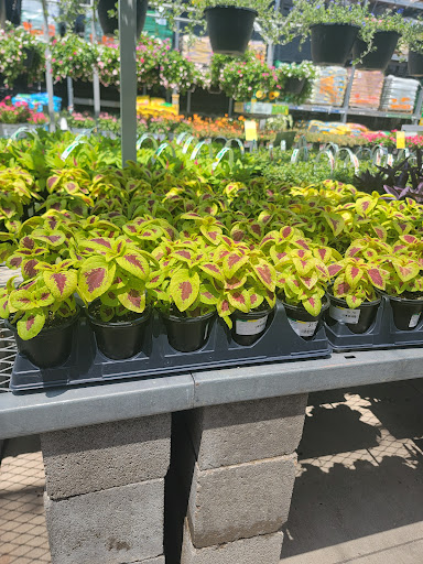 Home Improvement Store «The Home Depot», reviews and photos, 373 E Fm 1382, Cedar Hill, TX 75104, USA