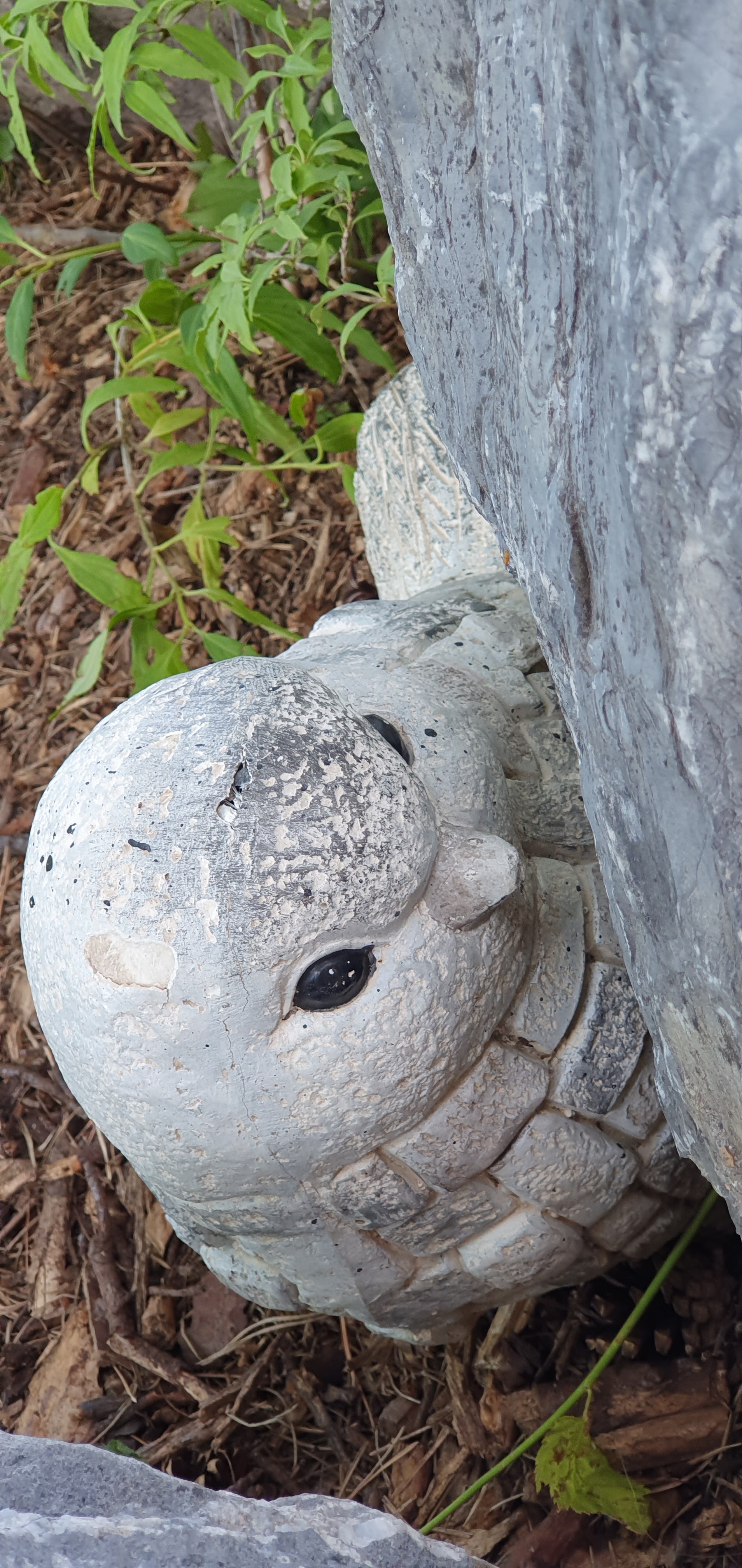 Photo n° 18 de l'avis de Alain.R fait le 30/08/2021 à 21:58