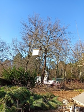 Photo n° 5 de l'avis de Jean-Louis. fait le 17/02/2023 à 18:50