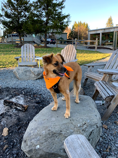 Hotel «The Arnold House», reviews and photos, 839 Shandelee Rd, Livingston Manor, NY 12758, USA