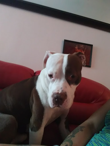 Tattoo and Piercing Shop «Skin Deep», reviews and photos, 2503 N 2nd St, Philadelphia, PA 19133, USA