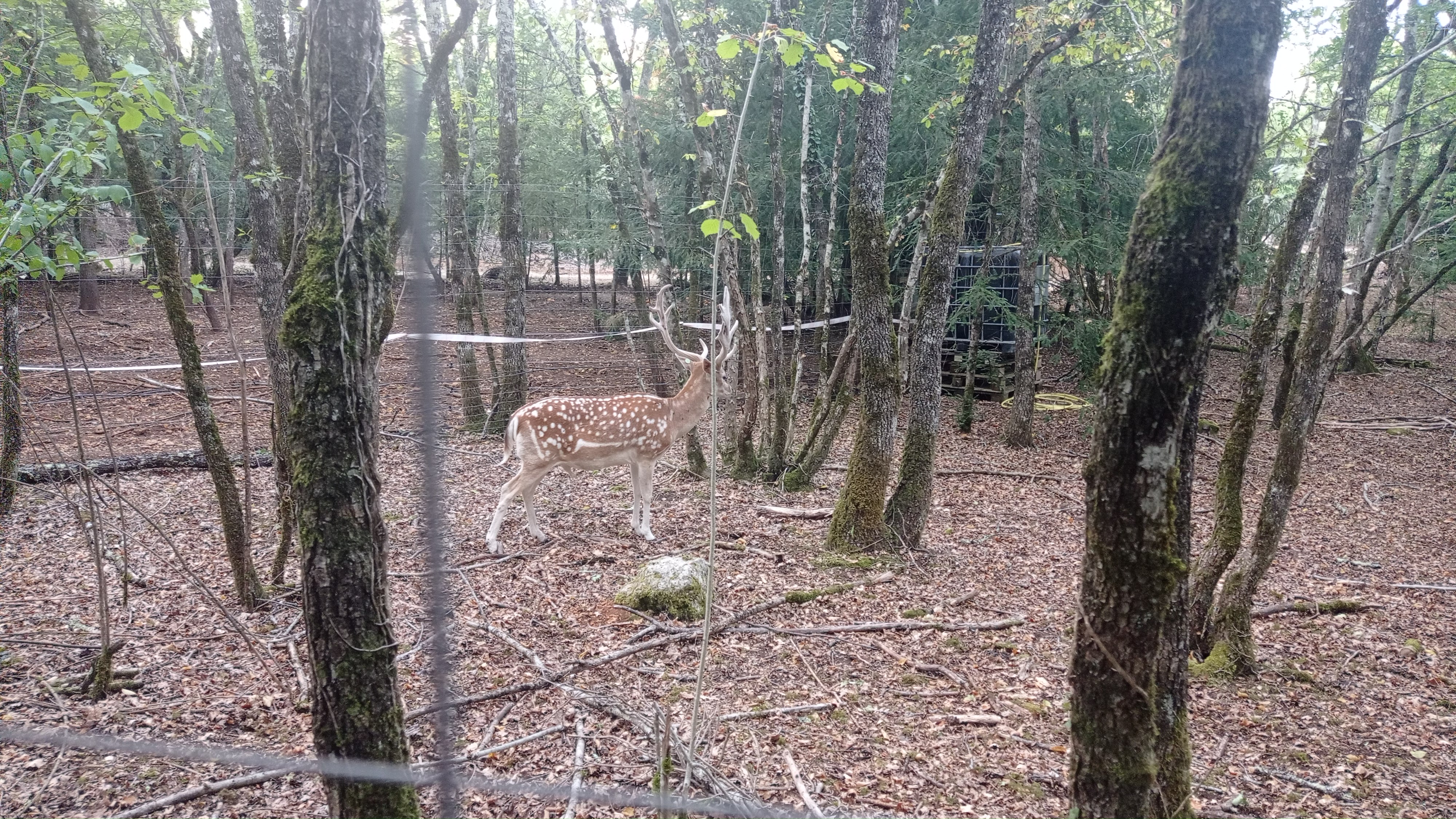 Photo n° 2 de l'avis de alain.o fait le 23/08/2022 à 08:56