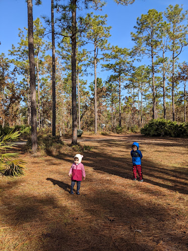 National Forest «Apalachicola National Forest», reviews and photos, Stateroad 13, Sopchoppy, FL 32358, USA