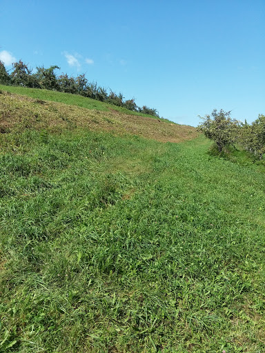 Orchard «Autumn Hills Orchard», reviews and photos, 495 Chicopee Row, Groton, MA 01450, USA