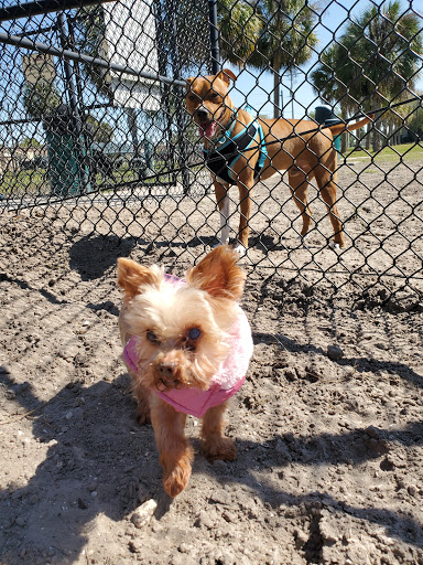 Dog Park «Apollo Beach Dog Park», reviews and photos, 664 Golf and Sea Blvd, Apollo Beach, FL 33572, USA