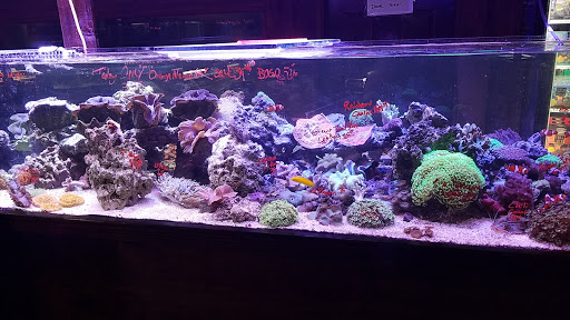 Pet Store «Fish R Us», reviews and photos, 10855 TX-242, Conroe, TX 77385, USA