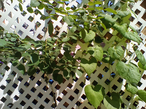 Day Care Center «Audrey Johnson Day Care Center», reviews and photos, 272 Moffat St, Brooklyn, NY 11207, USA