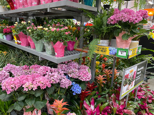 Home Improvement Store «The Home Depot», reviews and photos, 2 Colma Blvd, Colma, CA 94014, USA