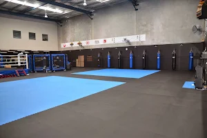 Bujutsu Martial Arts and Fitness Centre image