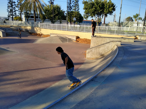 Village Skate Park