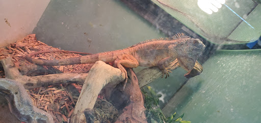 Pet Supply Store «Atlas Pet Supply», reviews and photos, 1798 Market Dr, Stillwater, MN 55082, USA