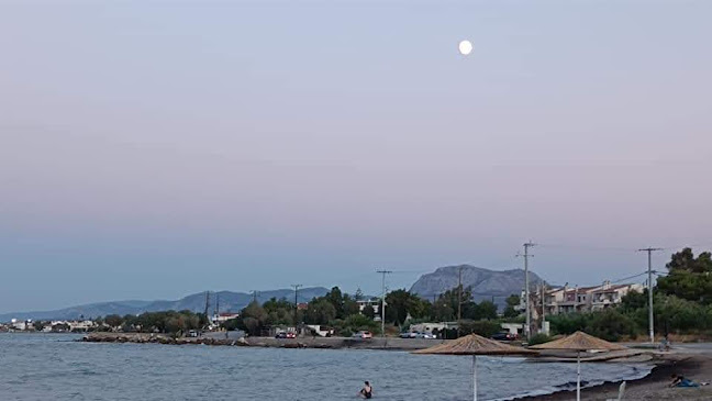 Αξιολογήσεις για το ΤΑΞΙ ΒΡΑΧΑΤΙΟΥ ΓΚΕΛΗ ΒΑΣΙΛΙΚΗ στην Βόχα - Υπηρεσία ταξί