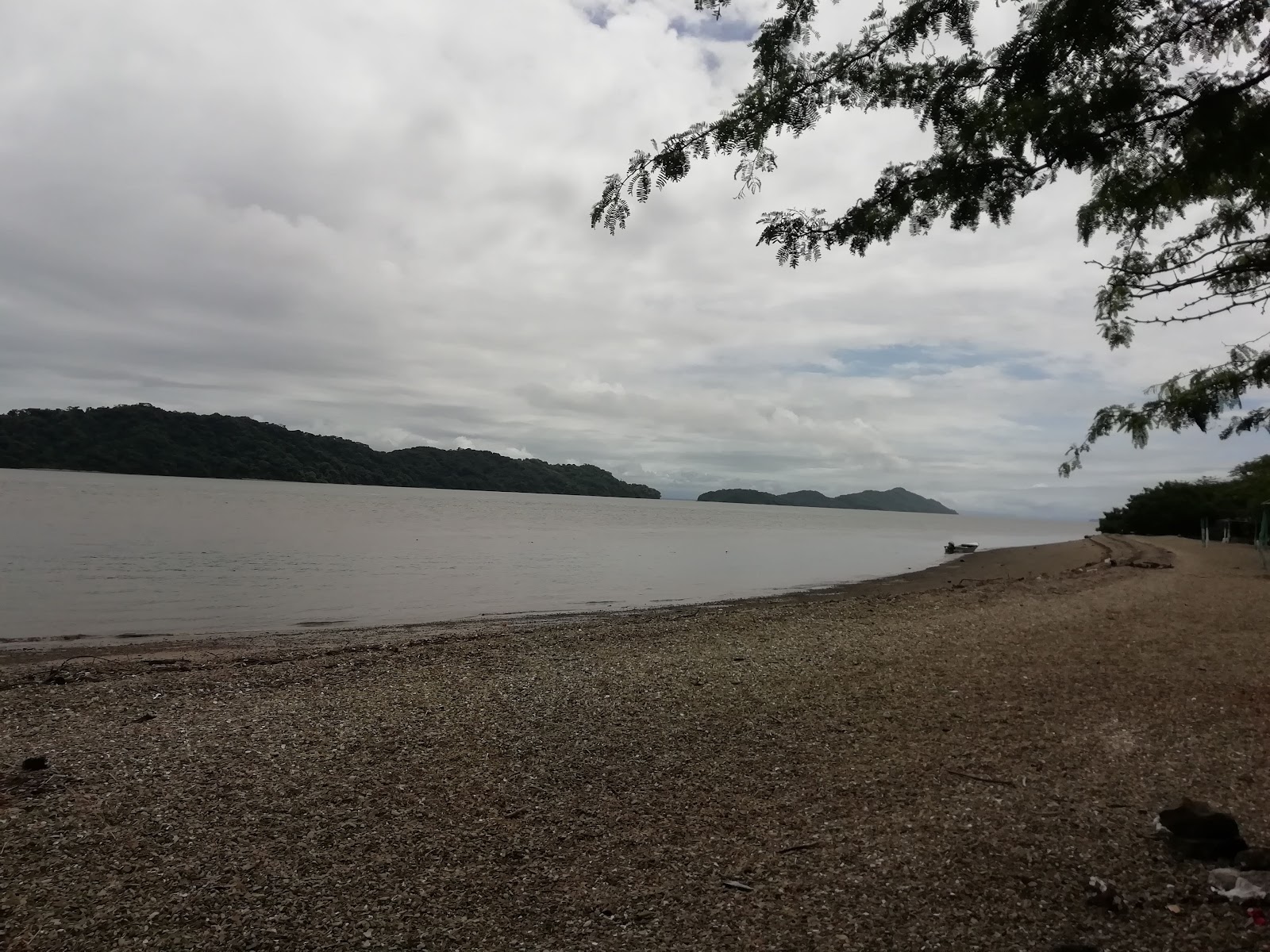 Zdjęcie Playa Albina z przestronna plaża