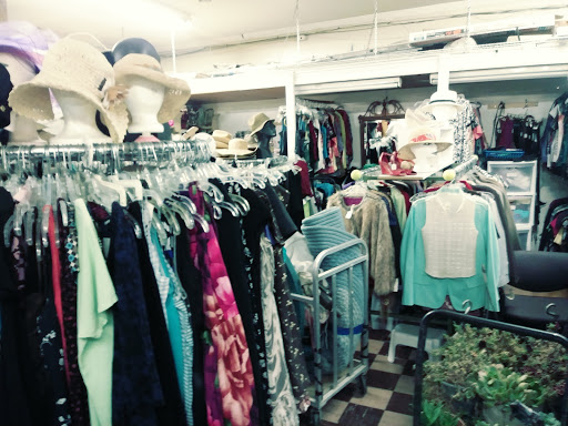 Thrift Store «Happy Tails Thrift Store», reviews and photos, 1825 Springs Rd, Vallejo, CA 94591, USA