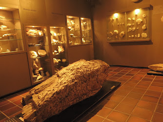 Natuurhistorisch Museum Maastricht