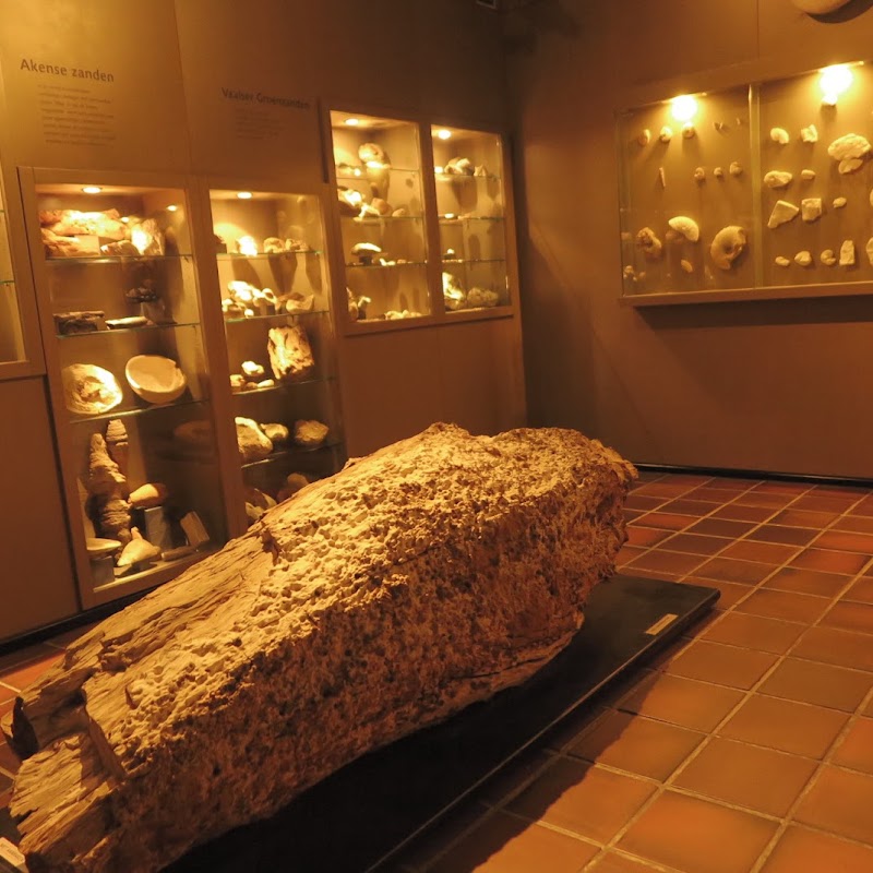 Natuurhistorisch Museum Maastricht