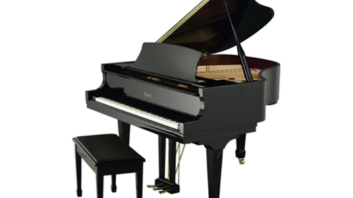 Quality Piano Moving, Tuning and Repair Services