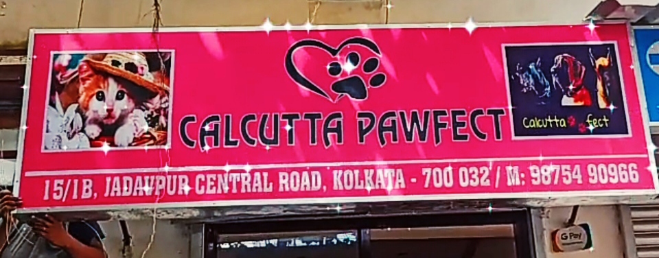 Calcutta Pawfect Store