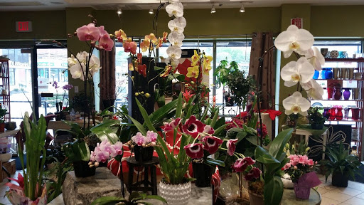 Florist «The Crimson Petal Inc.», reviews and photos, 160 Needham St, Newton, MA 02464, USA