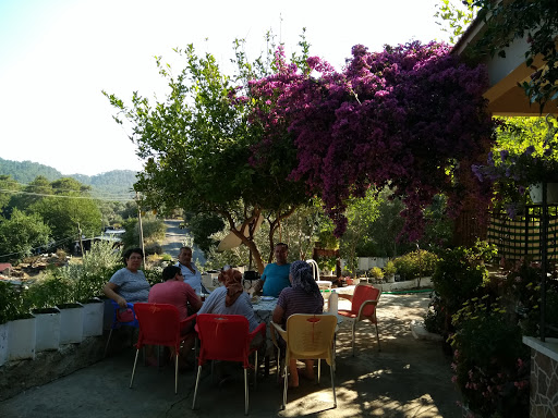 Çandır Teras Çay Bahçesi Gözleme Ve Kahvaltı Evi