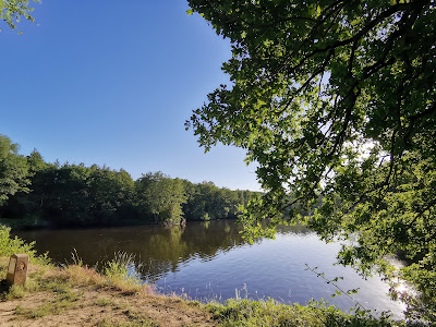 Étang de Cernay à Cernay-la-ville