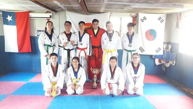 Opiniones de Academia De Taekwondo Garras del dragon blanco en Puerto Montt - Escuela
