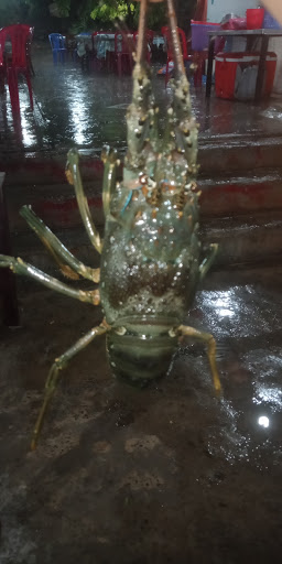 Top 20 chuyên preview cửa hàng Thành phố Phan Thiết Bình Thuận 2022