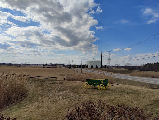 Ice Cream Shop «Creamery», reviews and photos, 15112 S Bell Rd, Homer Glen, IL 60491, USA