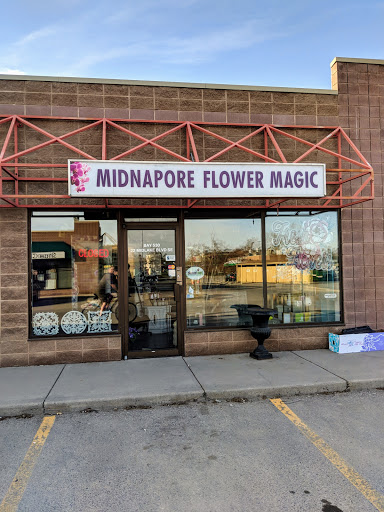 Midnapore Flower Magic