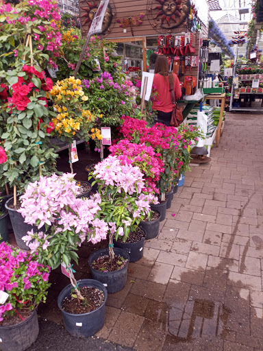 Florist «Metropolitan Plant and Flower Exchange», reviews and photos, 471 NJ-10, West Orange, NJ 07052, USA