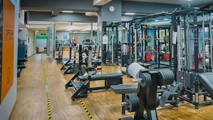 Officine del Fitness - Via Badia di Cava, 80, 00142 Roma RM, Italy