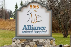 Alliance Animal Hospital image