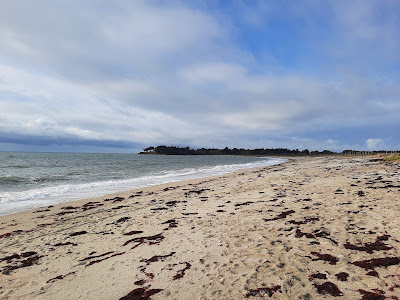 Plage de Suscinio à Sarzeau