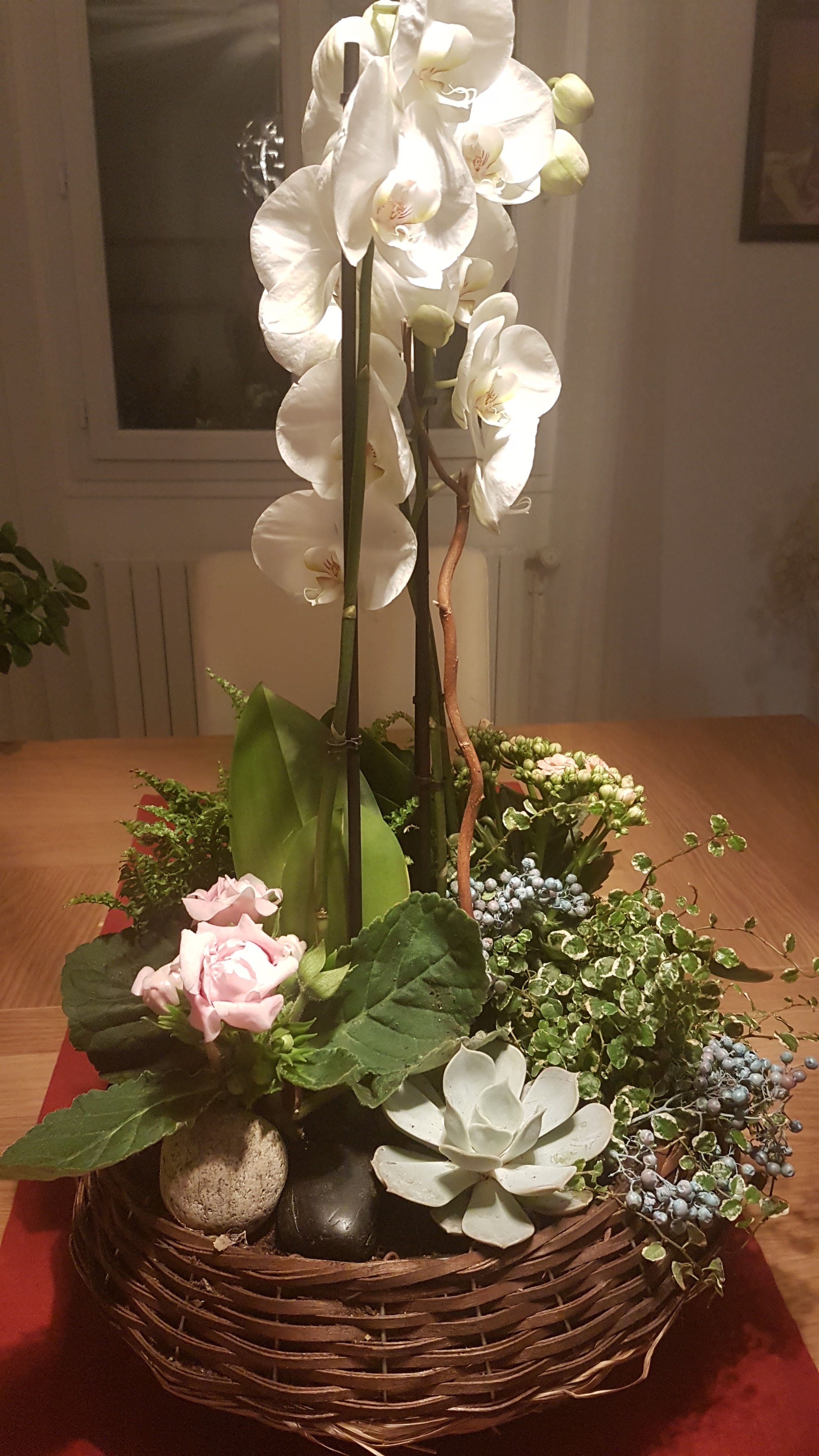 Photo n° 1 de l'avis de Michela.O fait le 24/11/2018 à 16:09