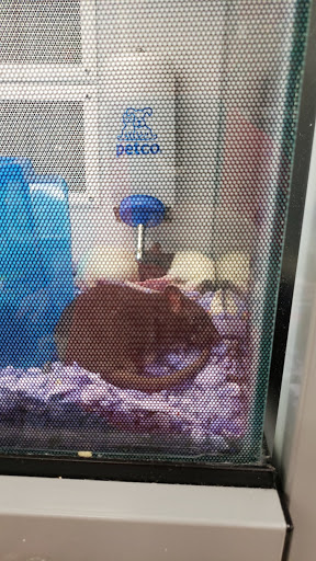 Pet Supply Store «Petco Animal Supplies», reviews and photos, 12801 Chenal Pkwy, Little Rock, AR 72211, USA