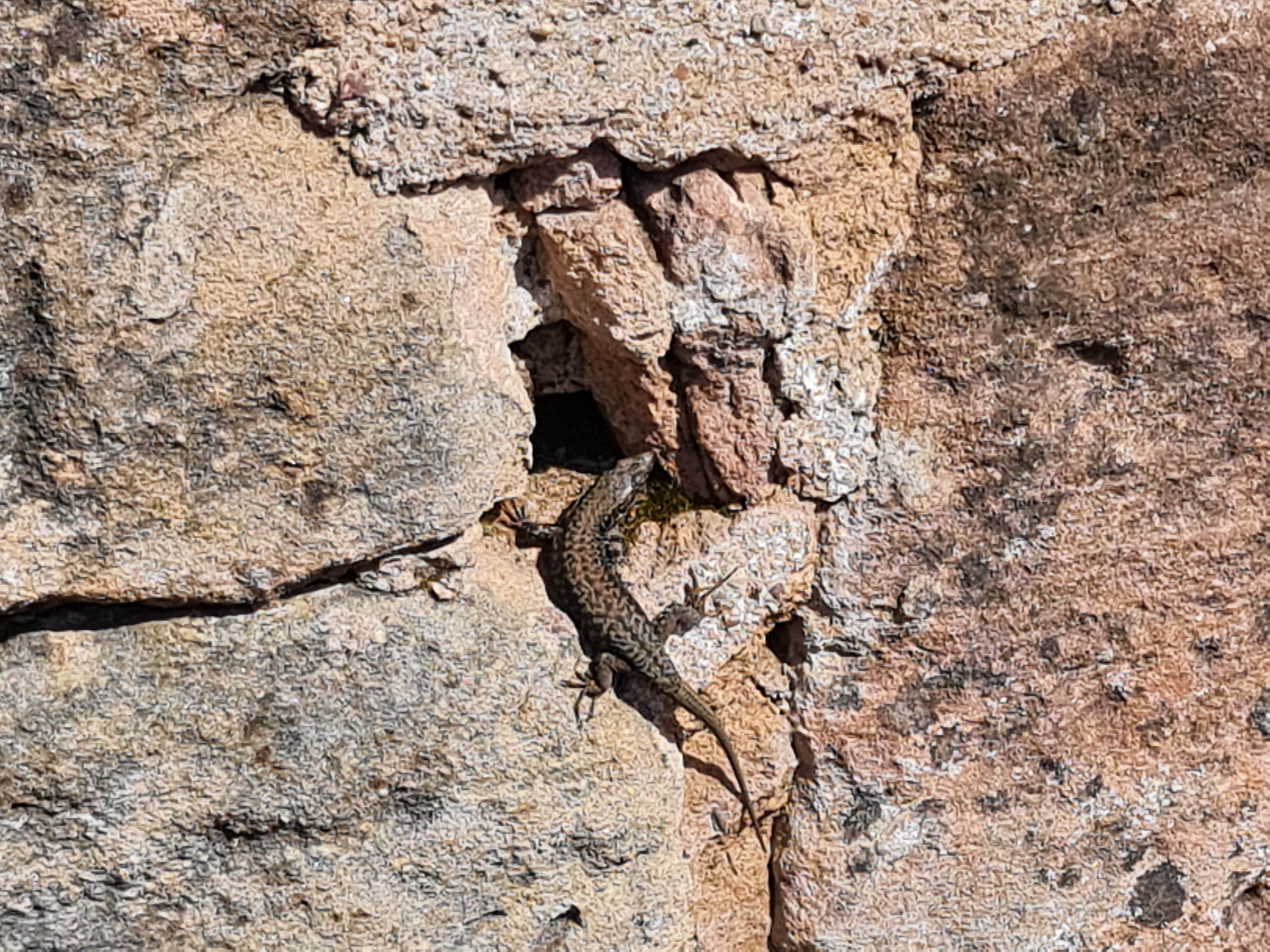 Photo n° 21 de l'avis de Roland.y fait le 23/04/2023 à 08:05