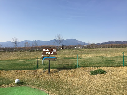 佐久総合運動公園 マレットゴルフ場