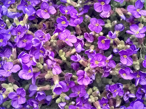 Bicycle Store «Bikes Together», reviews and photos, 2825 Fairfax St, Denver, CO 80207, USA