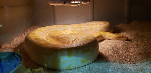 Pet Store «Incredible Pets Inc», reviews and photos, 2255 N Wickham Rd # 102, Melbourne, FL 32935, USA