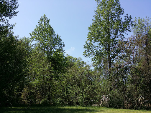 Supermarket «ALDI», reviews and photos, 3034 Wade Hampton Blvd, Taylors, SC 29687, USA