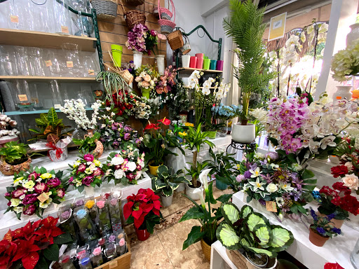 Agapanthus Flower Shop & Events