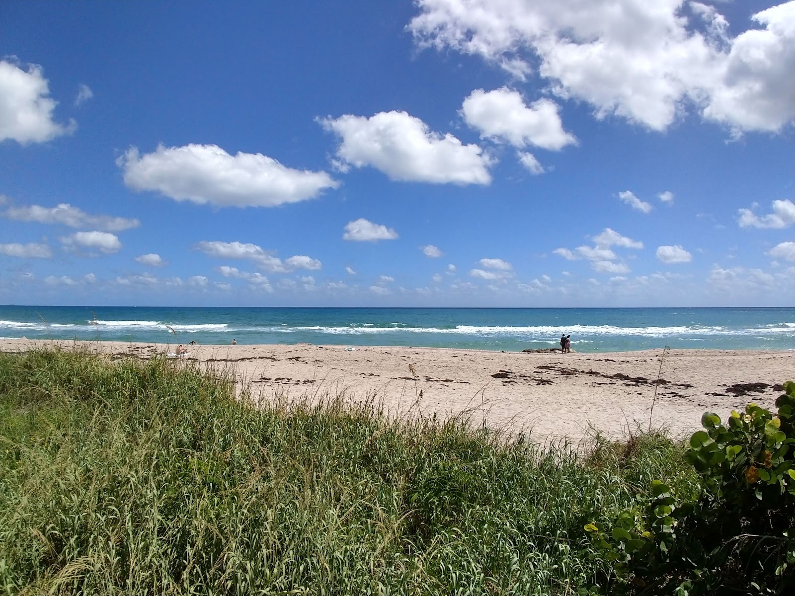 Foto de Palm Island beach - lugar popular entre os apreciadores de relaxamento