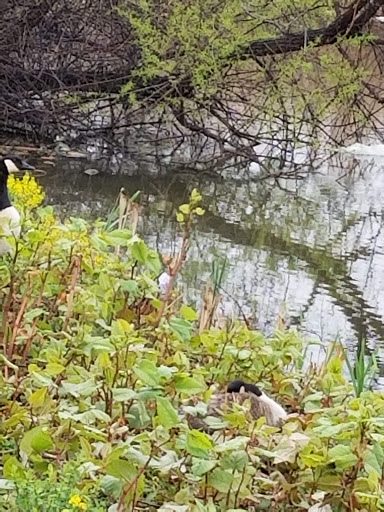 Toyota Dealer «Romano Toyota», reviews and photos, 6400 Basile Rowe, East Syracuse, NY 13057, USA