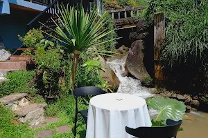 Jungle Cafe image